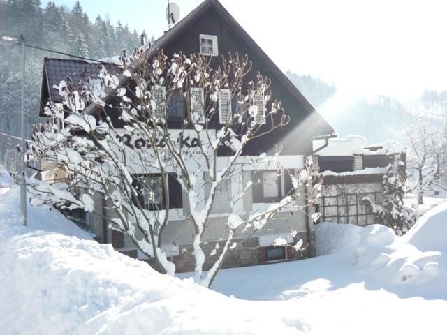 Chata Rozarka Dolni Dvur Exterior photo